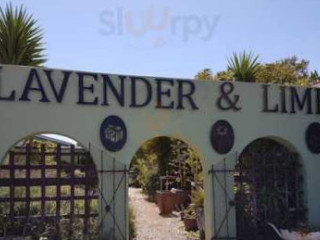 Lavender And Lime Nursery