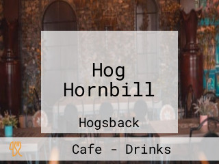 Hog Hornbill