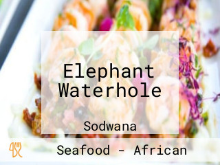 Elephant Waterhole