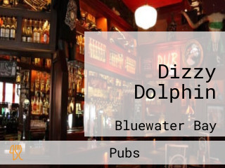 Dizzy Dolphin