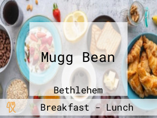 Mugg Bean