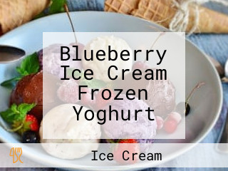 Blueberry Ice Cream Frozen Yoghurt