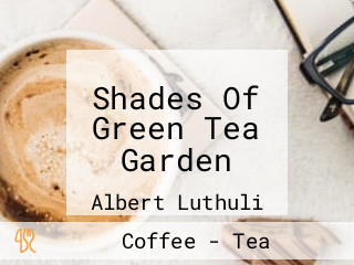 Shades Of Green Tea Garden