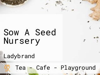 Sow A Seed Nursery