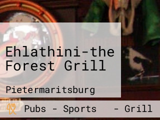 Ehlathini-the Forest Grill