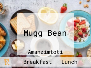 Mugg Bean