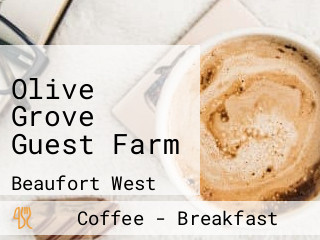 Olive Grove Guest Farm