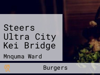 Steers Ultra City Kei Bridge