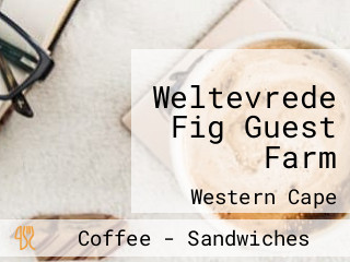 Weltevrede Fig Guest Farm