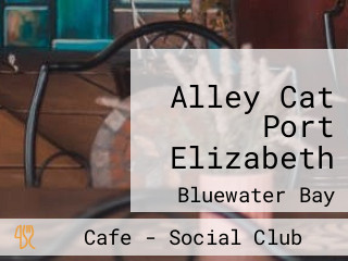 Alley Cat Port Elizabeth