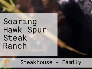 Soaring Hawk Spur Steak Ranch