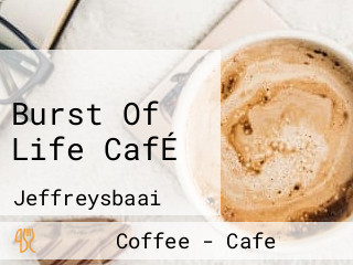 Burst Of Life CafÉ