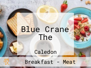 Blue Crane The