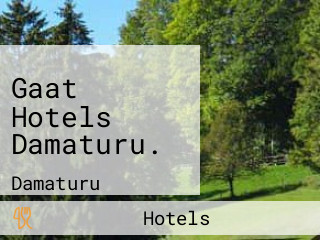 Gaat Hotels Damaturu.