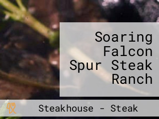 Soaring Falcon Spur Steak Ranch