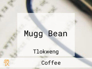 Mugg Bean