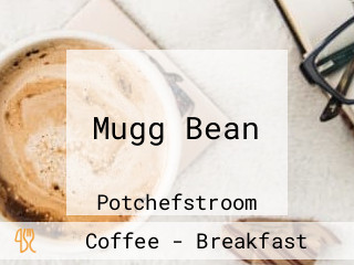 Mugg Bean