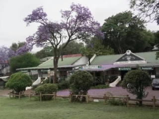 Wild Fig Tree Sabie