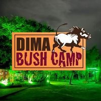 Dima Bush Camp