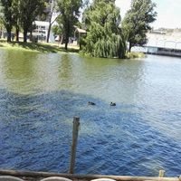 Bloemfontein Waterfront