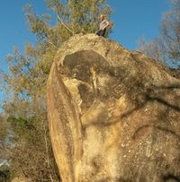 Little Rock, Ladybrand