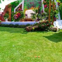 Upright Cakes And Events