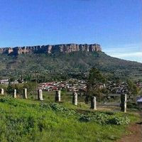 Hungry Lion In Setsing (qwaqwa)