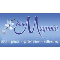 Blue Magnolia Nursery Coffee Shop