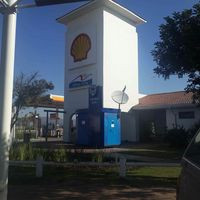 Steers-shell Ultra City