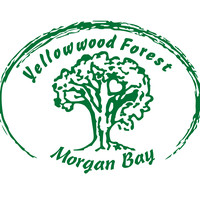 Yellowwood Forest Morgan Bay. Camping Accommodation