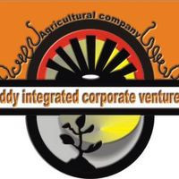 Eddy Integrated Corporate Ventures
