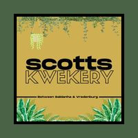 Scotts Kwekery