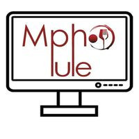 Mphopule's Equipment Hiring Services