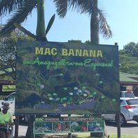 Macbanana Roadstall