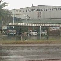 Elgin Fruit Juices