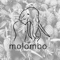 Molomo Lounge.