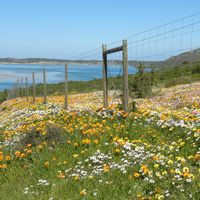 Cathy’s Kitchen Paternoster